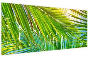 Obraz - Palmové listy (120x50 cm)