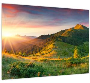 Obraz - Letná krajina (70x50 cm)