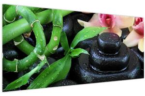 Obraz - Kamene a orchidey (120x50 cm)