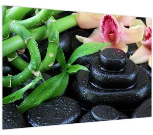 Obraz - Kamene a orchidey (90x60 cm)