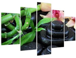 Obraz - Kamene a orchidey (150x105 cm)