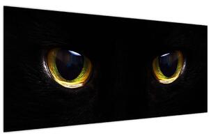 Obraz - Mačacie oči (120x50 cm)