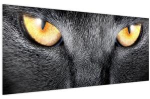 Obraz - Blízky portrét mačky (120x50 cm)