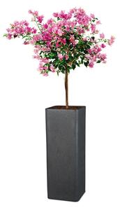 Scheurich Vysoký kvetináč Cube High, 26 x 26 x 70 cm (výška 70 cm, žula/čierna) (100349932)