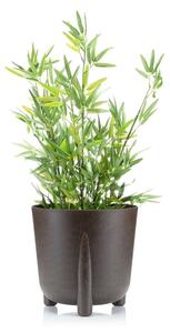 PLASTOVÝ KVETINÁČ MOSS ECO 28X30 CM TMAVOHNEDÁ