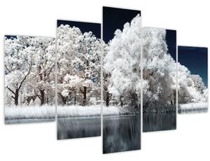 Obraz - Snehobiele stromy (150x105 cm)
