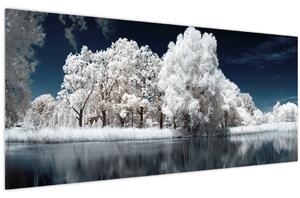 Obraz - Snehobiele stromy (120x50 cm)
