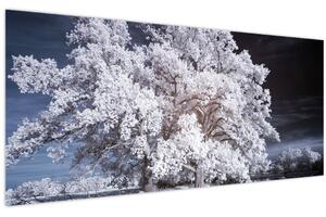 Obraz - Snehobiely strom (120x50 cm)