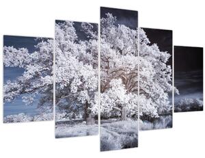 Obraz - Snehobiely strom (150x105 cm)