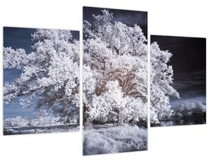 Obraz - Snehobiely strom (90x60 cm)