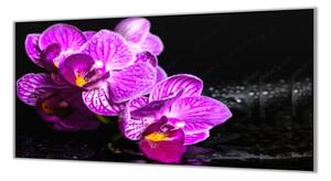 Ochranná doska kvet orchidey na zen kameni - 52x60cm / ANO