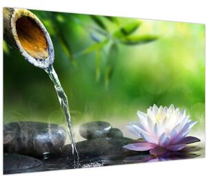 Obraz - Lotus (90x60 cm)