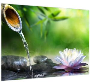 Obraz - Lotus (70x50 cm)
