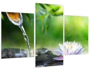 Obraz - Lotus (90x60 cm)