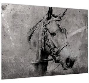 Obraz - Portrét koňa (70x50 cm)
