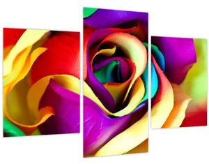 Obraz - Farebná ruža (90x60 cm)