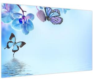 Obraz - Motýľ na kvetoch orchidey, modrý (90x60 cm)