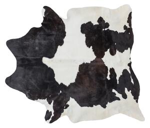 Koža z argentínskej kravy bielo - čierna (200 x 179 cm)