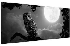 Obraz - Nočná sova, čiernobiela (120x50 cm)