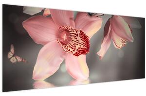 Obraz - Kvety a motýľ (120x50 cm)