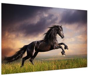 Obraz - Kone (90x60 cm)