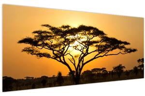 Obraz - Africká savana (120x50 cm)