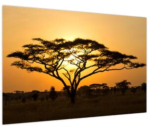 Obraz - Africká savana (90x60 cm)