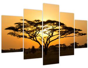 Obraz - Africká savana (150x105 cm)