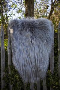 Ovčia kožušina Islandská ovca sivá