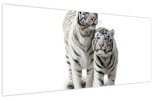 Obraz - Biely tiger (120x50 cm)