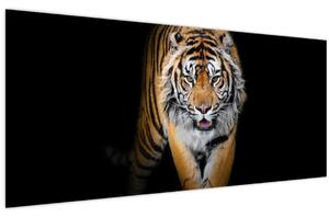 Obraz - Tiger (120x50 cm)
