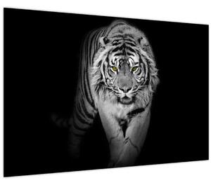 Obraz - Tiger so žltými očami (90x60 cm)