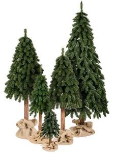Vianočný stromček Smrek horský na pni 120cm