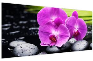 Obraz - Orchidey (120x50 cm)