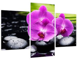 Obraz - Orchidey (90x60 cm)