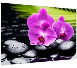 Obraz - Orchidey (90x60 cm)