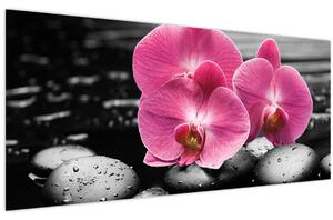 Obraz - Ružové orchidey (120x50 cm)