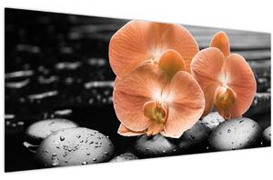 Obraz - Oranžové orchidey (120x50 cm)