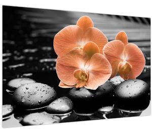 Obraz - Oranžové orchidey (90x60 cm)