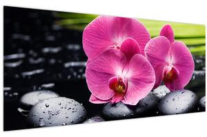 Obraz - Ružové orchidey s palmovým listom (120x50 cm)