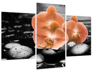 Obraz - Oranžové orchidey (90x60 cm)