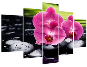 Obraz - Ružové orchidey s palmovým listom (150x105 cm)