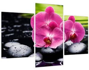 Obraz - Ružové orchidey s palmovým listom (90x60 cm)