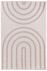 Koberec Flora 51001/D9TW rozmery koberec: 67x120 cm