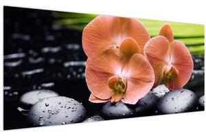 Obraz - Oranžová orchidea s palmovými listami (120x50 cm)
