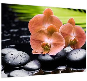 Obraz - Oranžová orchidea s palmovými listami (70x50 cm)