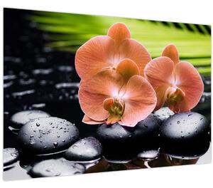 Obraz - Oranžová orchidea s palmovými listami (90x60 cm)