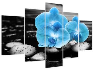 Obraz - Modrá orchidea (150x105 cm)