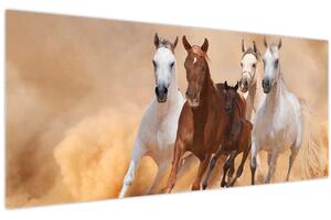 Obraz - Stádo koní (120x50 cm)