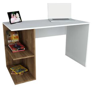 Písací stôl ELEGANCE pínia/biela